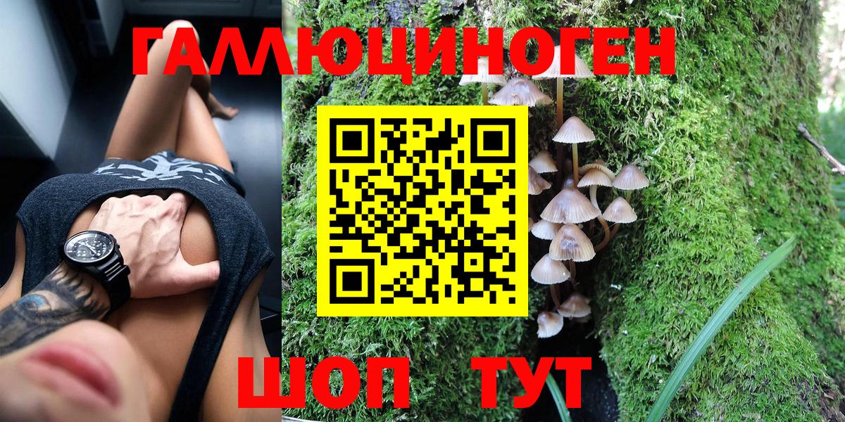 Аргун  Галлюциногенные грибы Cubensis  купить  сайты  Вход с VPN 